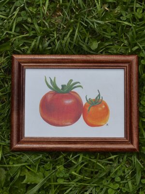 Tomato Duo - Framed Original in Colored Pencil
